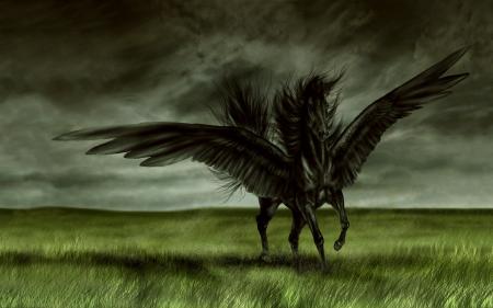 Horse Of Heaven